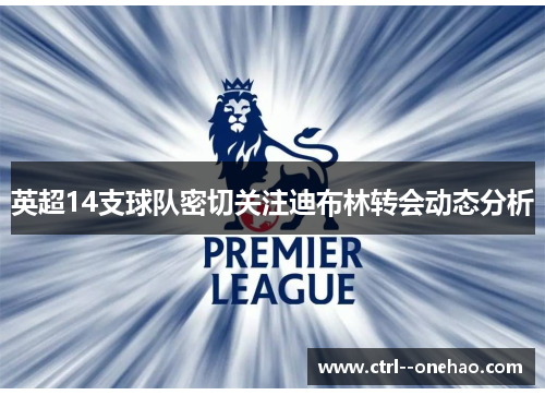 英超14支球队密切关注迪布林转会动态分析 英超14支球队密切关注迪布林转会动态分析