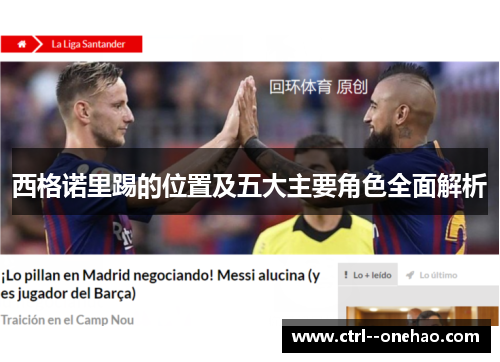 西格诺里踢的位置及五大主要角色全面解析