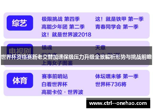 世界杯资格赛新老交替加速保级压力升级全景解析形势与挑战前瞻