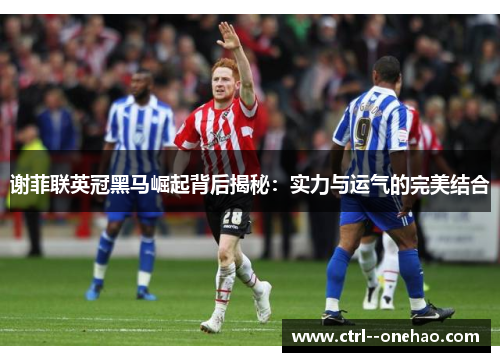 谢菲联英冠黑马崛起背后揭秘：实力与运气的完美结合