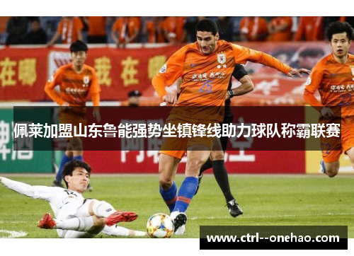 佩莱加盟山东鲁能强势坐镇锋线助力球队称霸联赛