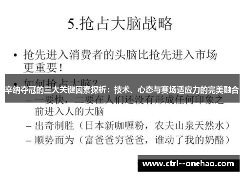 辛纳夺冠的三大关键因素探析：技术、心态与赛场适应力的完美融合