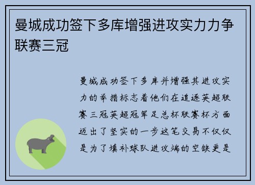 曼城成功签下多库增强进攻实力力争联赛三冠